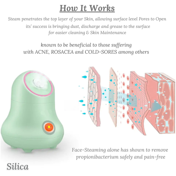 Nano-Ionic Face Steamer