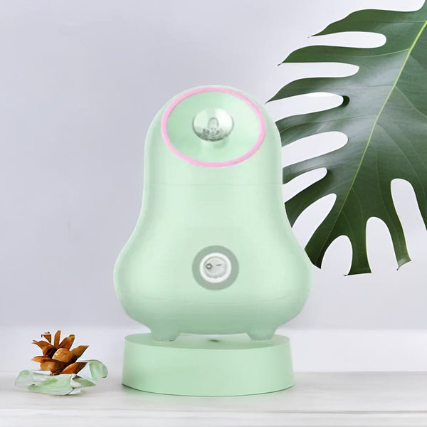 Nano-Ionic Face Steamer